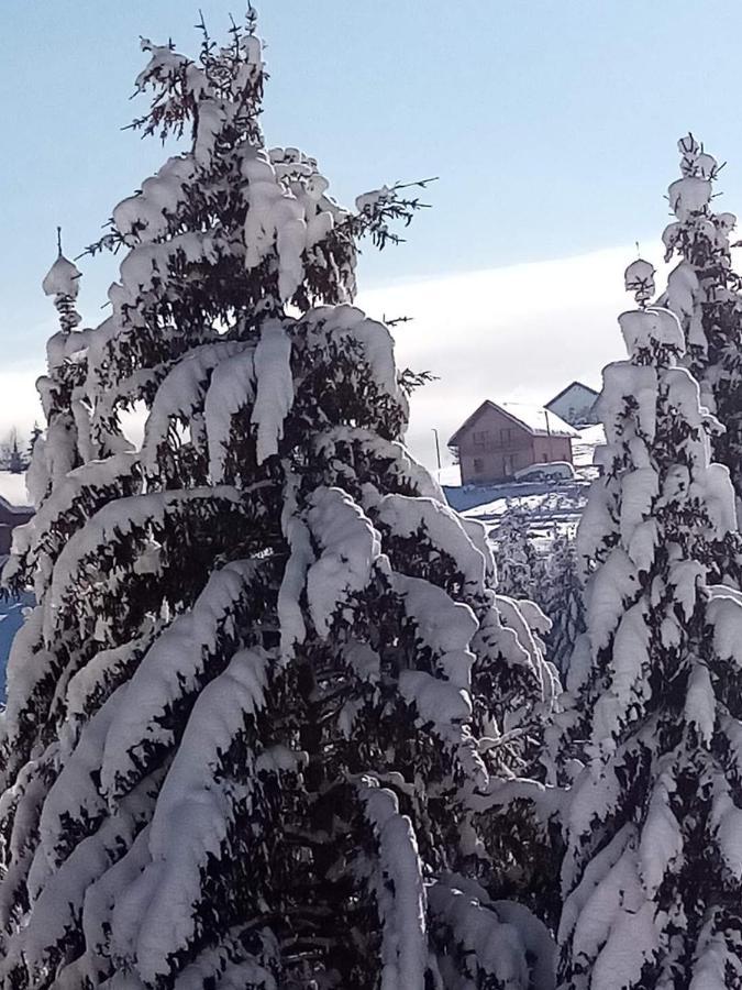 Apartman Bambi Zlatar Nova Varoš エクステリア 写真
